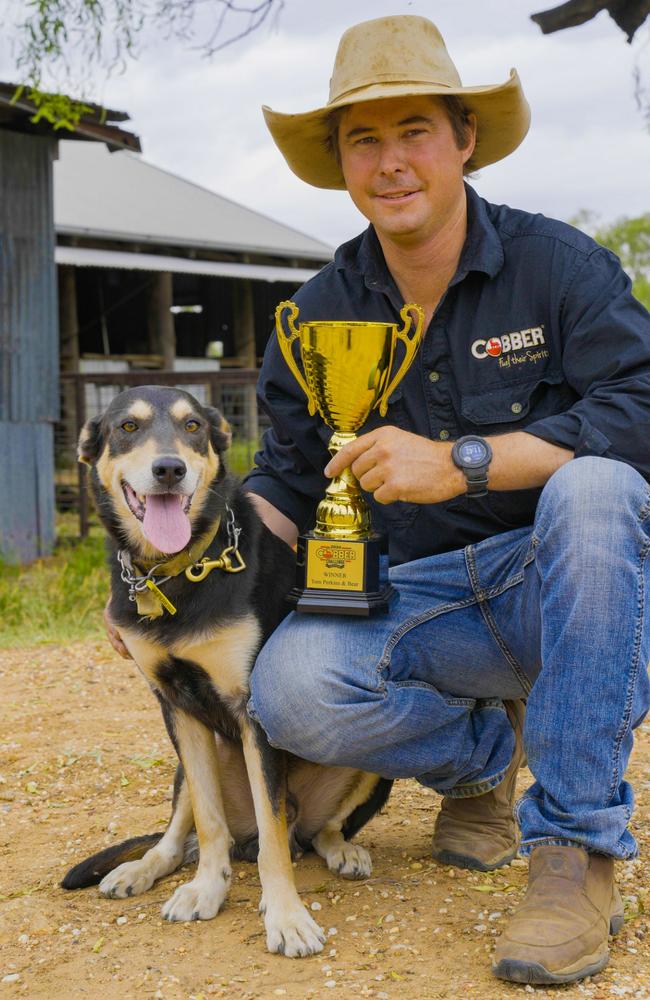 Tom Perkins' loyal dog, Bear, has been crowned Australia's hardest working dog in the 2024 Cobber Challenge. Photo: Cobber Challenge.