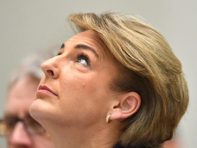 Employment Minister Michaelia Cash is facing calls to resign. Picture: AAP Image/Mick Tsikas