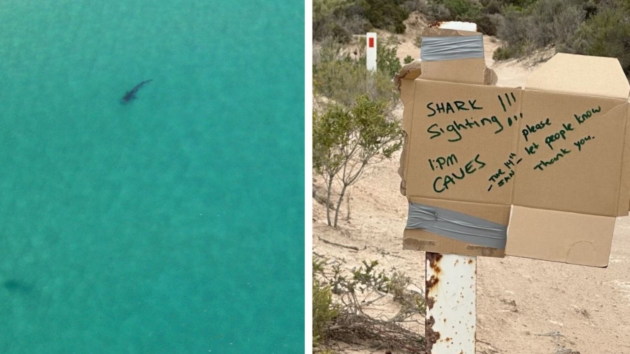 Surfers have taken to making their own signs for other swimmers on the west coast of SA.