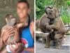 Grim reality behind Bali happy snaps