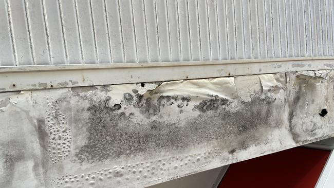 Mould and peeling paint were visible on the ceiling at the entrance of the former Dimmeys Arcade. Picture: Leighton Smith.