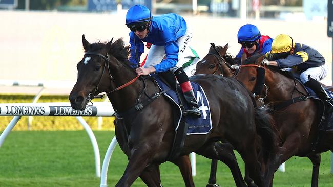 Godolphin galloper Pericles is the early favourite in betting on Saturday’s Group 2 PB Lawrence Stakes. Picture: Getty Images.