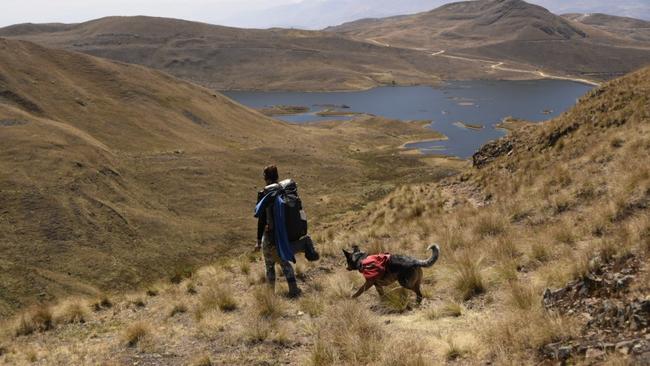 Lucy Barnard with her dog Wombat.