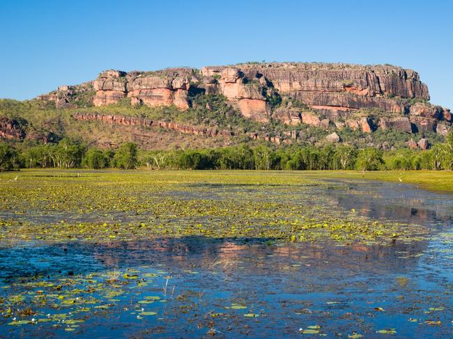 The wilderness of Anbangbang Billabong and Nourlangie. 