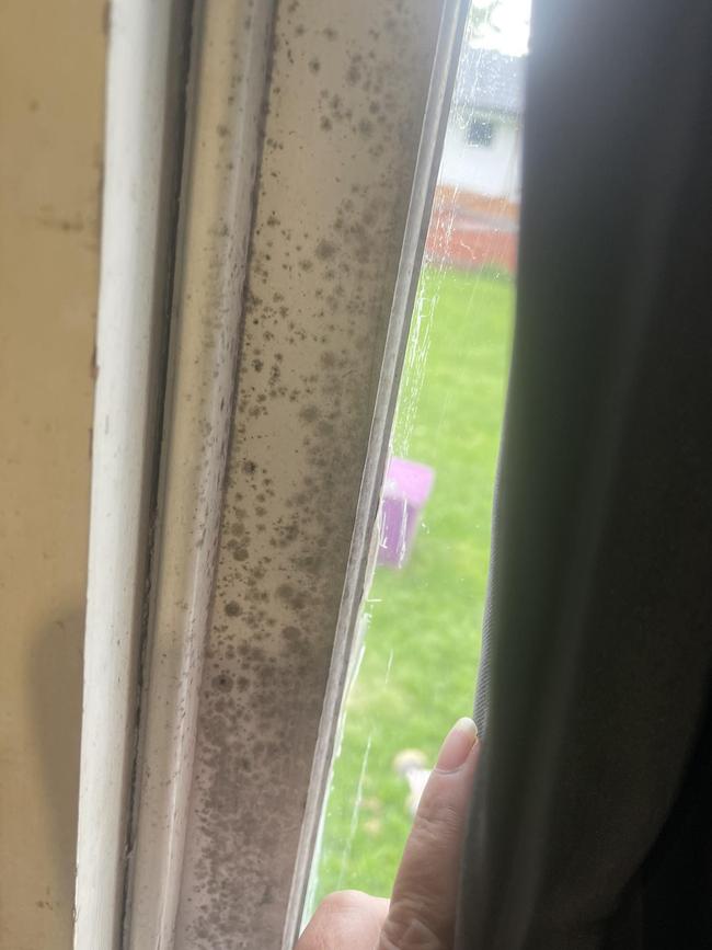 Mould on a window frame at the Quirke home in Shellharbour.