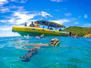 Ocean Rafting was the winner of the 2017 Australian Tourism Awards. Picture: Contributed