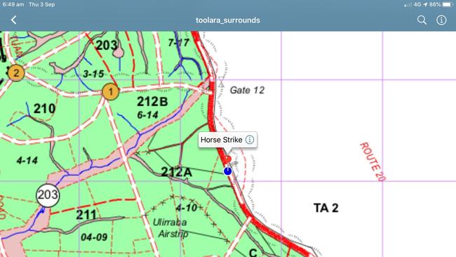 A map showing where a horse was killed on Cooloola Coast Rd on Thursday.