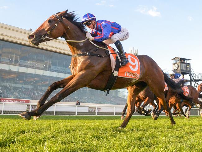 Ayrton (NZ) ridden by Jamie Kah wins the Neds Victoria Handicap at Caulfield Racecourse on April 16, 2022 in Caulfield, Australia. (Reg Ryan/Racing Photos via Getty Images)