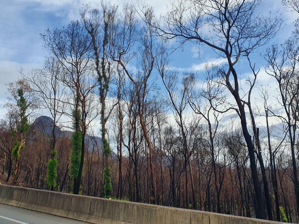 The Cunningham Highway was extensively damaged in 2019 by bushfire during the Black Summer