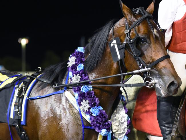 Lennytheshark after his victory at Gloucester Park last Friday. Picture: Jodie Hallows