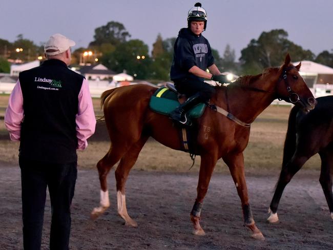 David Hayes checks out Criterion after a trackwork session. Picture: Jay Town