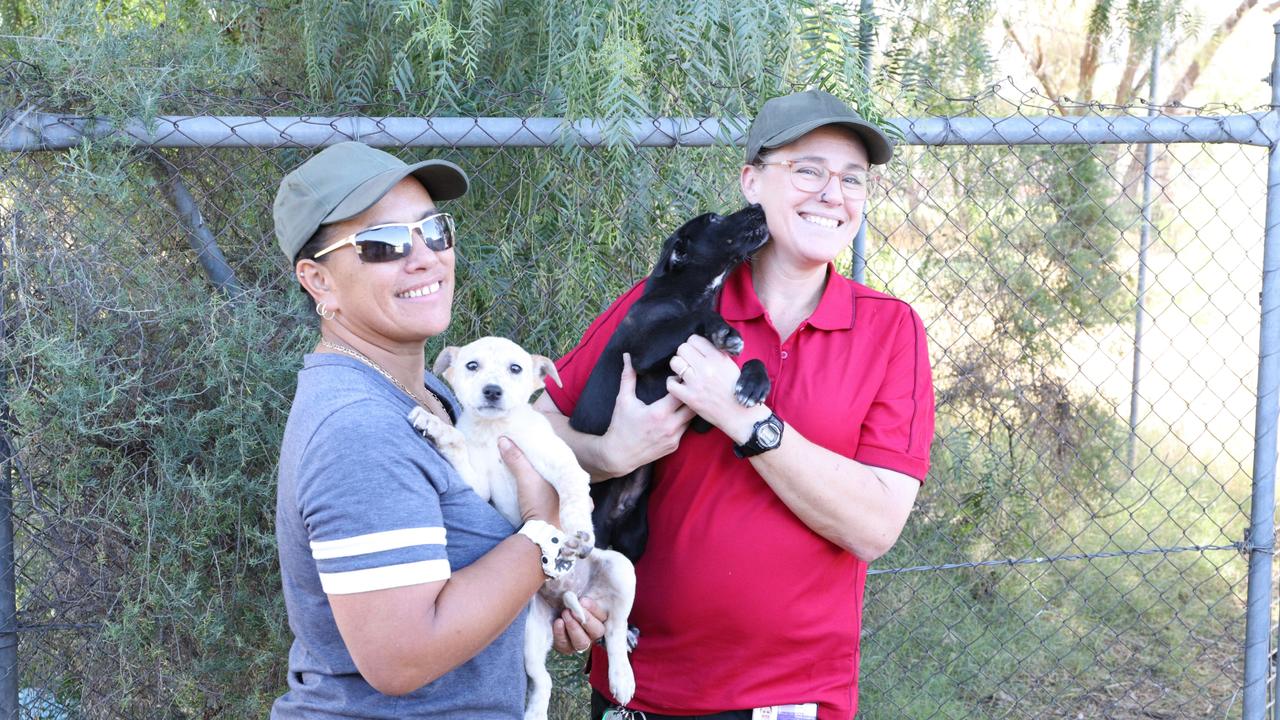 Alice Springs Town Council rangers Charlotte Bryers and Stacey Leddra with puppies Poppy and Loui at the Alice Springs Animal Shelter, September 2024. Picture: Alice Springs Town Council