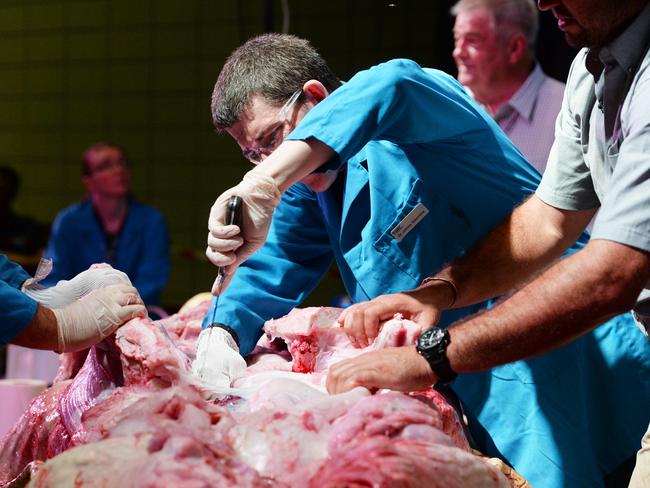 2015: Doctor James Valentine cuts open the crocodile during the dissection by National Science Week at Charles Darwin University. Picture: Ivan Rachman