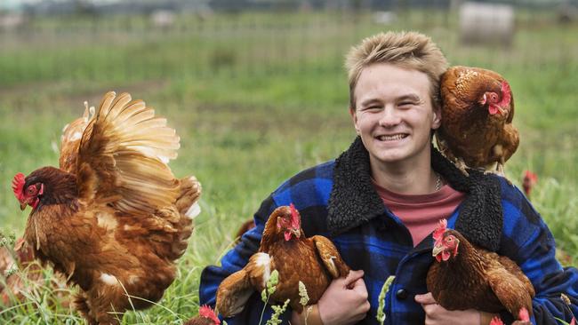 The future is bright for Josh Murray, of Josh’s Eggs, who has ambitions to continue expanding his egg enterprise in the coming years. Picture: Zoe Phillips