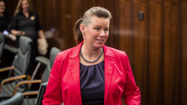 Labor primary industries and water spokeswoman Janie Finlay. Picture: Richard Jupe