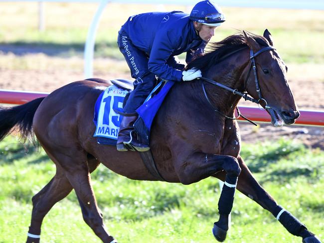 Jockey Hugh Bowman rides Marmelo in during a trackwork session at Werribee this month. Picture: AAP