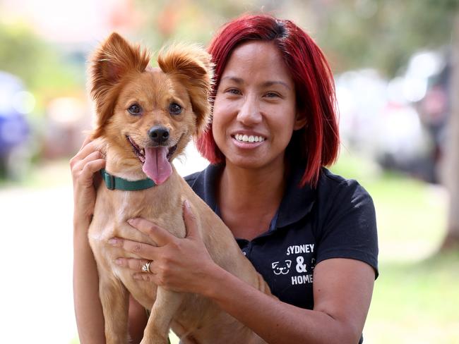 A rescue dog pictured with Sabrina Gabrielle at the Sydney Dog and Cat Home Picture: Toby Zerna