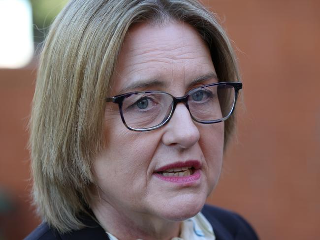 Jacinta Allan has hired Damian Karmelich as her new chief of staff. Picture: David Crosling