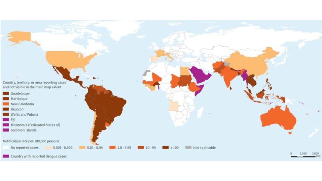 World Health Organisation's map reporting autochthonous dengue cases