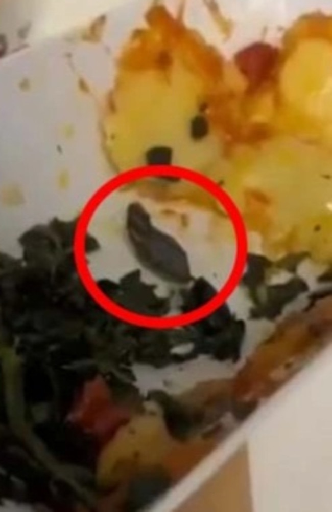 SunExpress flight attendant finds snake head in meal