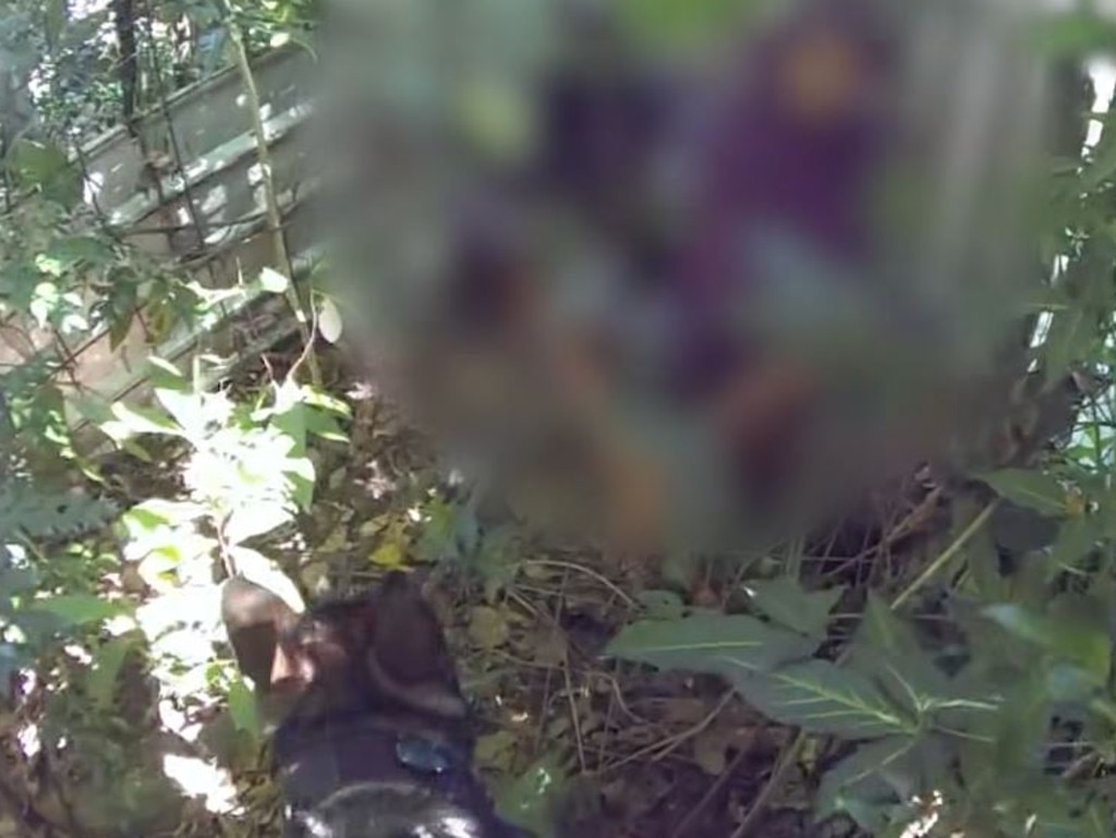 They were able to track two teens boys in bushland. Picture: Facebook/Police Greater Cairns