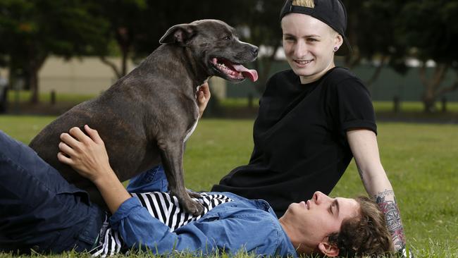 Staffordshire bull terriers aka staffies are the Gold Coast’s most popular dog for the fourth year in a row. Brother and sister Jake, 17, and Ashlea Martin, 26, with their staffie Lucy. Picture: Jerad Williams