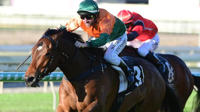 Roman Aureus is going for back-to-back wins at Doomben. Picture: Trackside Photography