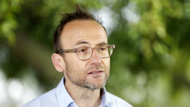 Greens leader Adam Bandt. Picture: Josh Woning