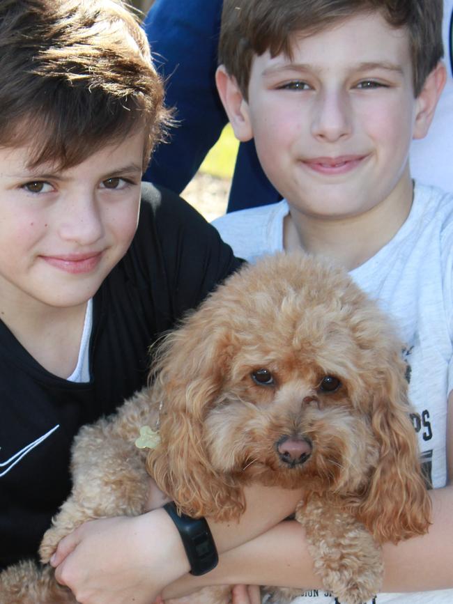 The young boys and their dog fled their Bulimba home as fire engulfed the two storey property. Photo. Andrea Macleod.