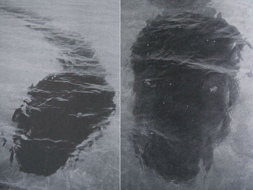 The sea monster reportedly seen near Hook Island in 1964. Picture: Contributed