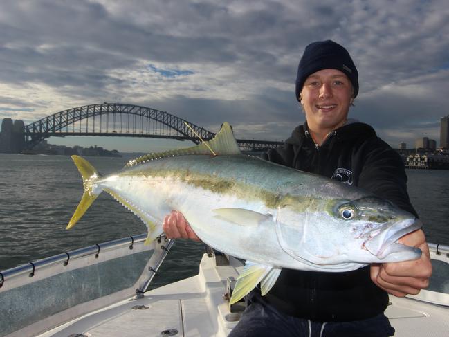 Zane Levett from OceanHunter Sports Fishing says artificial reefs have been a welcome addition to Sydney fishing and is hoping to see more of them.