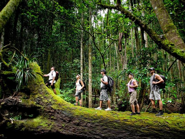 Summer is the perfect time of year to enjoy the incredible bush walks and hiking tracks across the Burnett region.