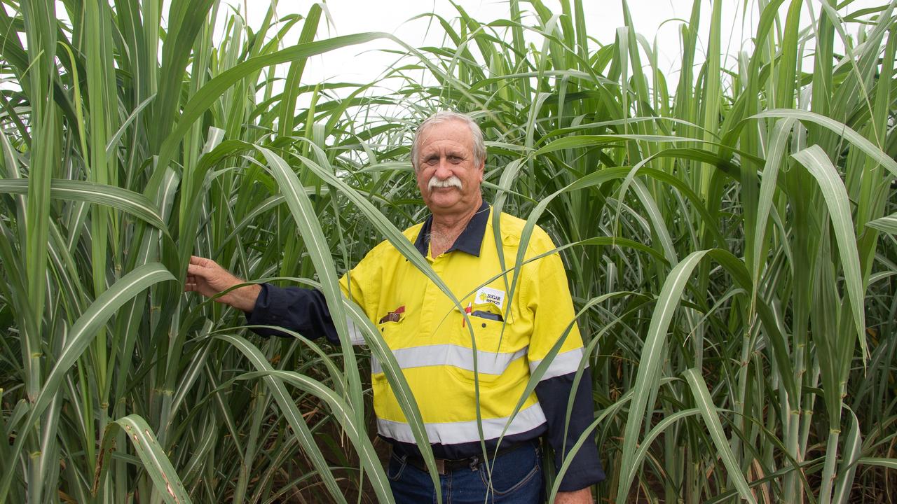 Michael Turner has fought to protect the region's sugarcane industry for half a century. Image credit: Cindy Benjamin.