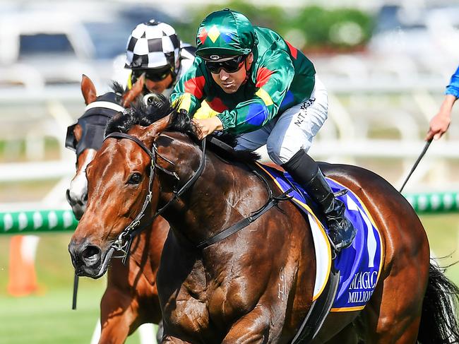 Jockey Ryan Maloney rides Alligator Blood to victory in race 5, the VO Rogue Plate, during the Metro Races at Eagle Farm in Brisbane, Saturday, December 28, 2019. (AAP Image/Albert Perez) NO ARCHIVING, EDITORIAL USE ONLY
