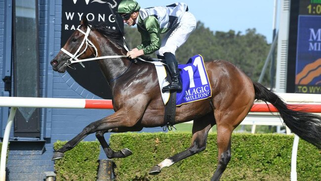 She's All Class winning the Wyong Magic Millions. Picture: Steve Hart Photographics