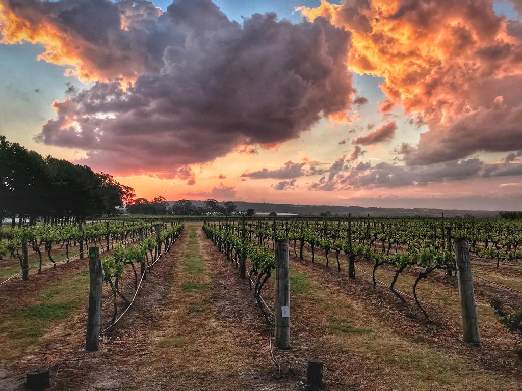 Summit Estate Wines. The perfect spot for a red wine around a bonfire with incredible sunsets.