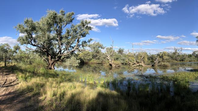 Lilly lagoon is a favourite bird hangout. Picture: Chris Symmons