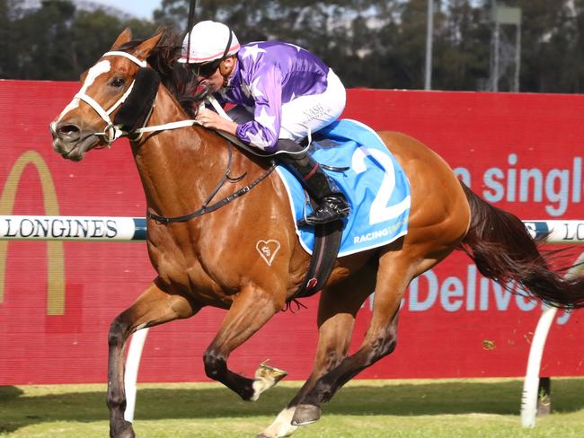 Espiona is chasing a well-earned second Group 1 victiry in the All Aged Stakes at Randwick on Saturday. Picture: Grant Guy