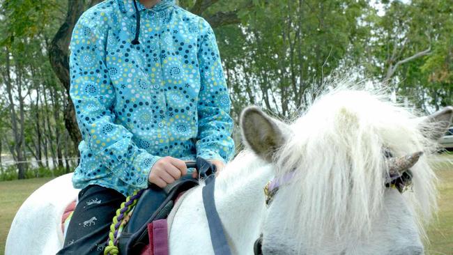 HELPING HAND: Paige Bardsley has been riding since she was 14 months old and was assisting her mother with their horses at the Quay Street Markets. Picture: Jann Houley