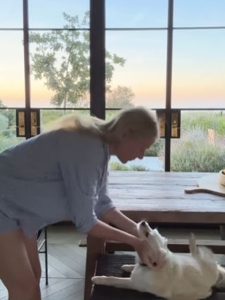 The footage showed Gwyneth Paltrow playing with her dog. Picture: Supplied