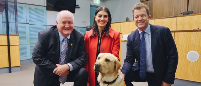 Heathcote state MP Lee Evans, Miranda state MP Eleni Petinos and Cronulla state MP Mark Speakman with Ernie the emotional support dog at Sutherland Local Court. Picture: Eliza Barr