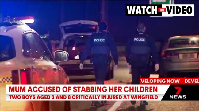 Mother allegedly stabbed her two kids on road (7News)