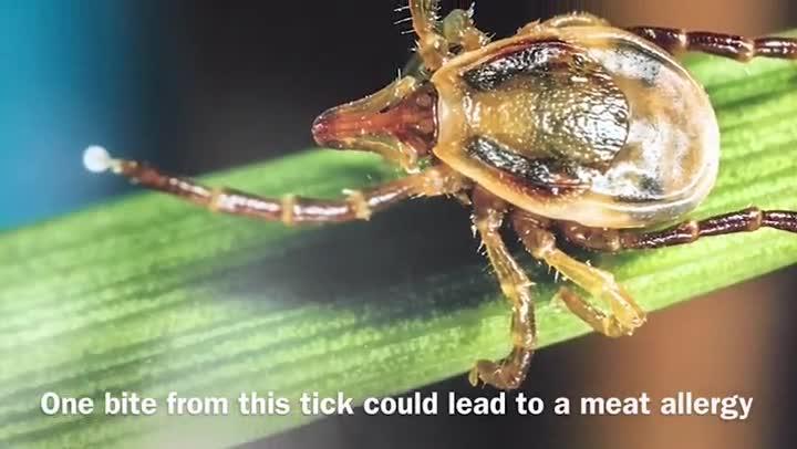 How to remove a tick