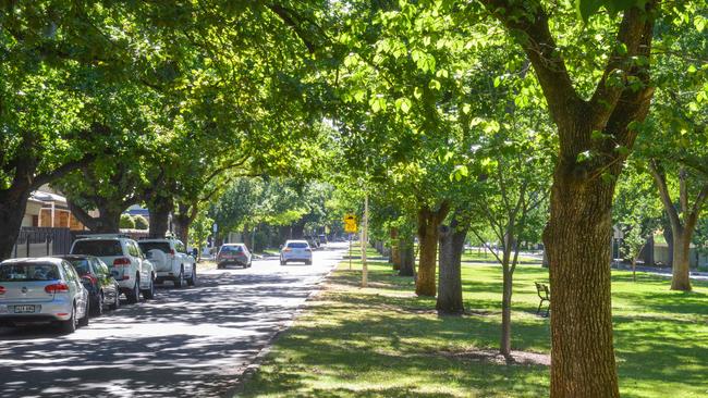 The Australian Institute of Landscape Architects wants a green infrastructure strategy to increase tree coverage to combat increased urban infill. Picture: AAP Image/ Brenton Edwards