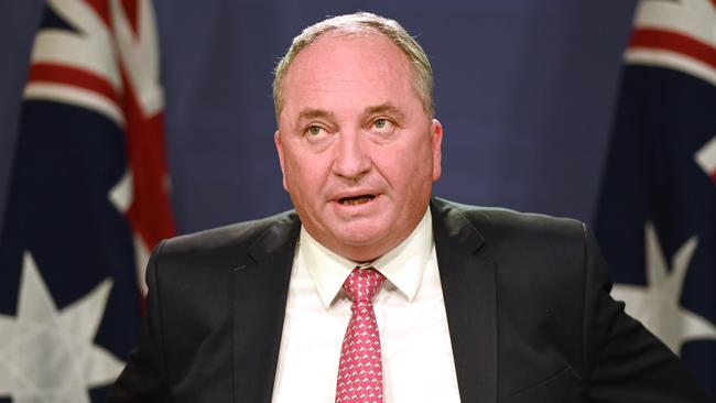 Deputy Prime Minister Barnaby Joyce. Picture: NCA NewsWire/Jeremy Piper