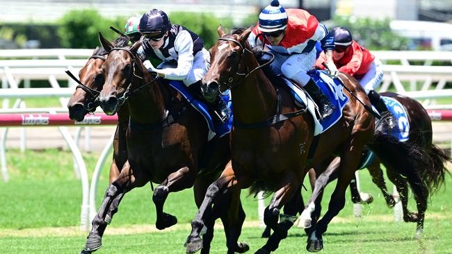 Formula Rossa, wearing the black and white Black Soil Bloodstock colours, wins recently at Eagle Farm on Saturday to all but seal her spot in the Gold Coast Magic Millions 2YO Classic. Picture: Grant Peters, Trackside Photography.