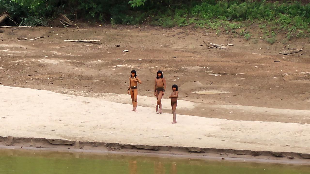 Two loggers are dead and two others are missing after being attacked by the tribe with arrows. Picture: Survival International