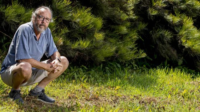 Guy Lewington's crocodile statue was stolen from his front yard while he was on holidays. The crocodile has been on his property for nine years. Picture: Jerad Williams