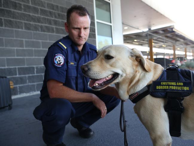 A Border Force handler with his detector dog. Picture: ABF