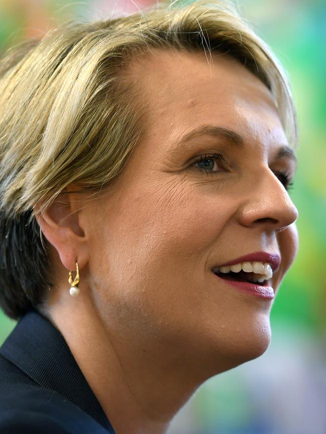 Deputy Leader of the Opposition Tanya Plibersek. Picture: AAP / Joel Carrett